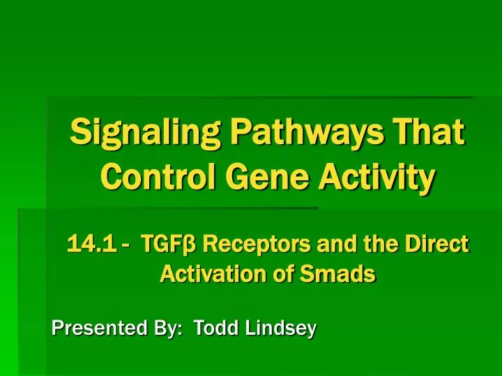 signaling pathways that control gene activity 14 1 tgf receptors and the direct activation of smads