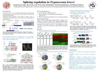 Splicing regulation in Trypanosoma brucei