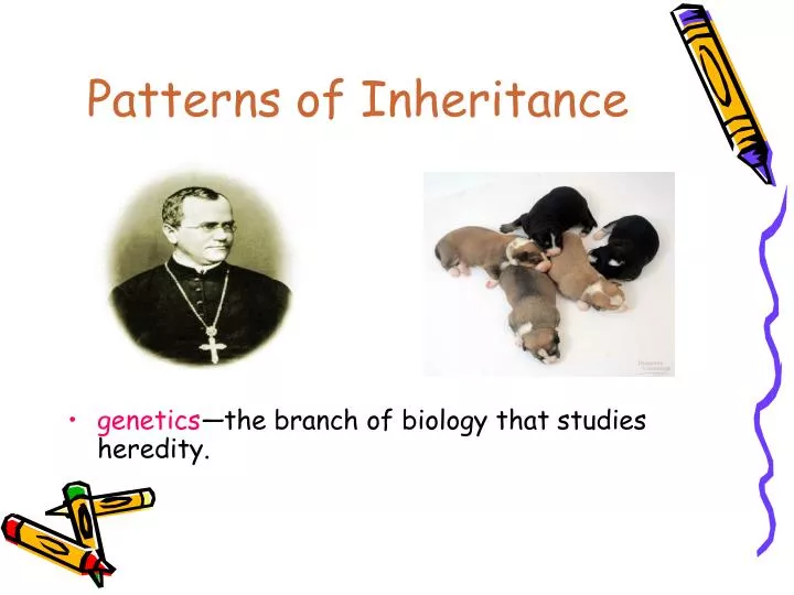 patterns of inheritance