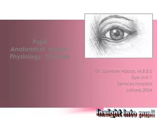 Pupil Anatomical basics, Physiology, Clinicals