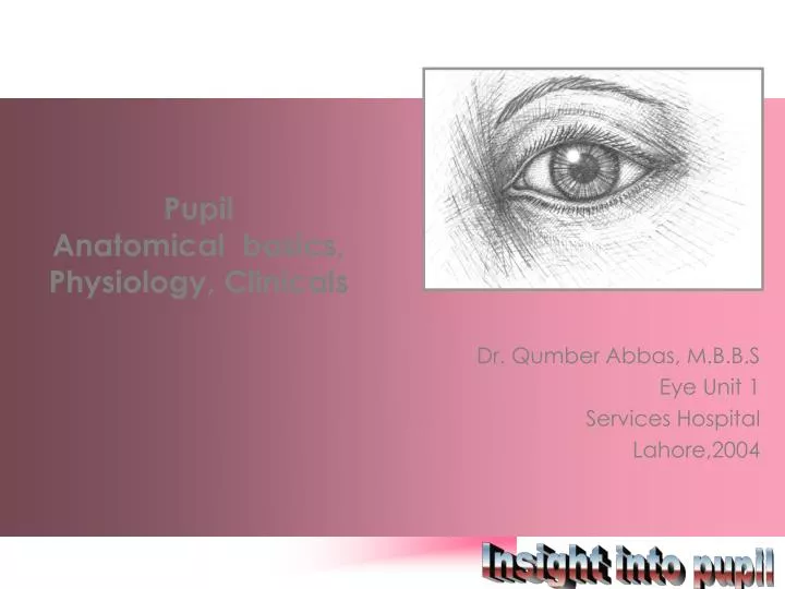 pupil anatomical basics physiology clinicals