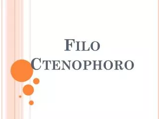 filo ctenophoro