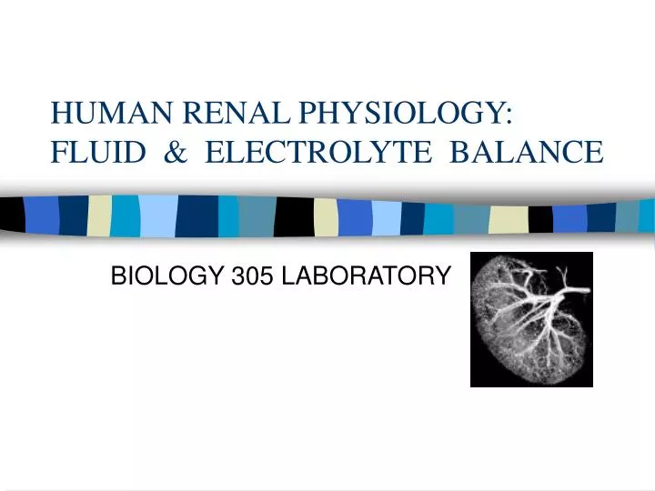 human renal physiology fluid electrolyte balance