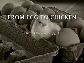 From Egg to Chicken