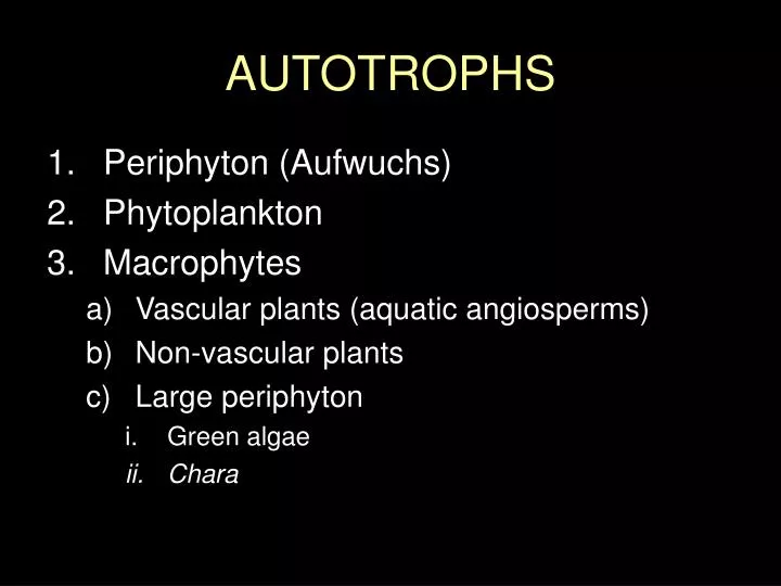 autotrophs