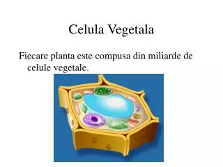 celula vegetala