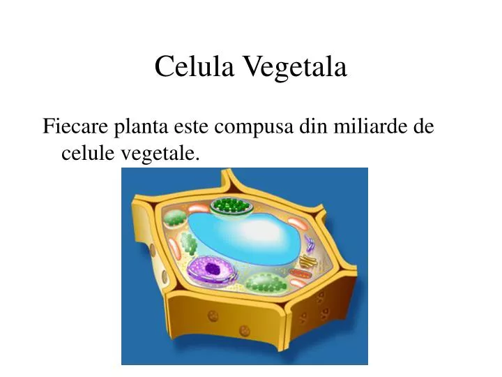 celula vegetala