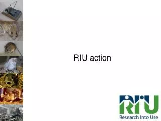 RIU action