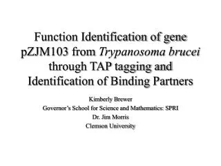 Function Identification of gene pZJM103 from Trypanosoma brucei through TAP tagging and Identification of Binding Part