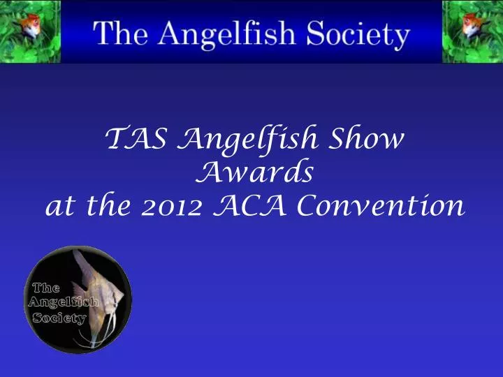 tas angelfish show awards at the 2012 aca convention