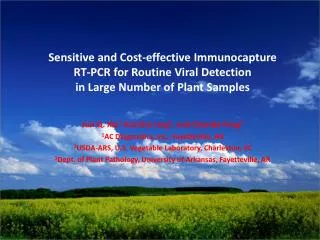 Sensitive and Cost-effective Immunocapture RT-PCR for Routine Viral Detection in Large Number of Plant Samples