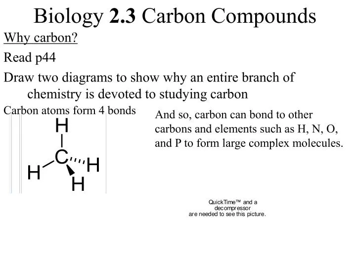 biology 2 3 carbon compounds