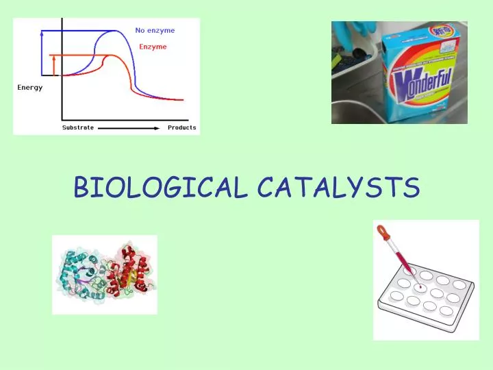 biological catalysts