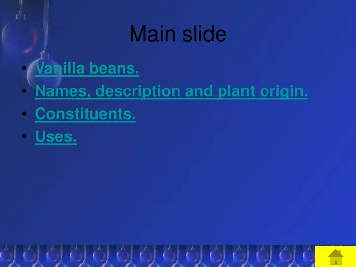main slide