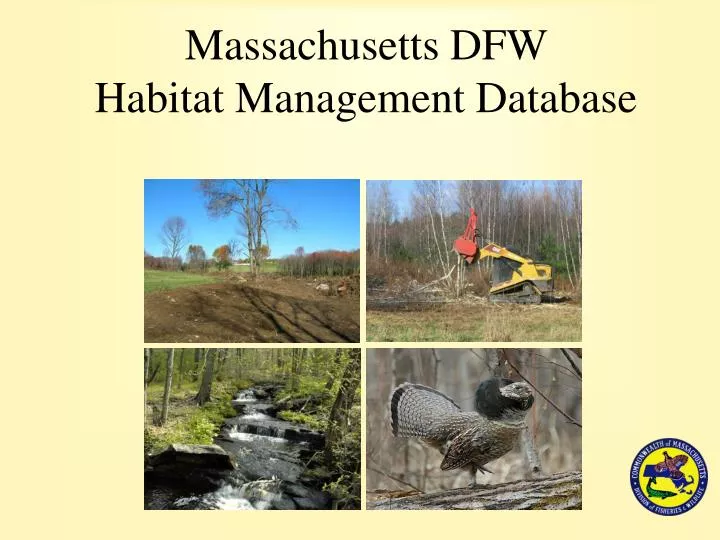 massachusetts dfw habitat management database