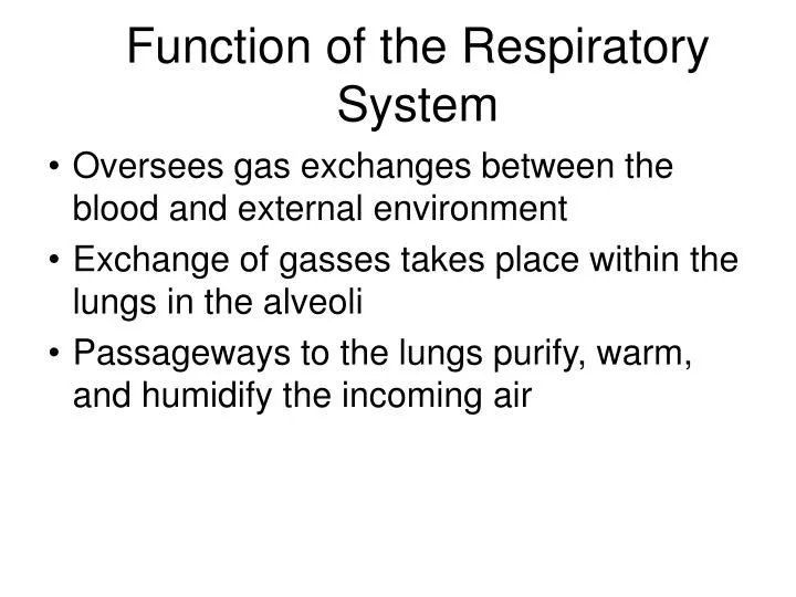 function of the respiratory system