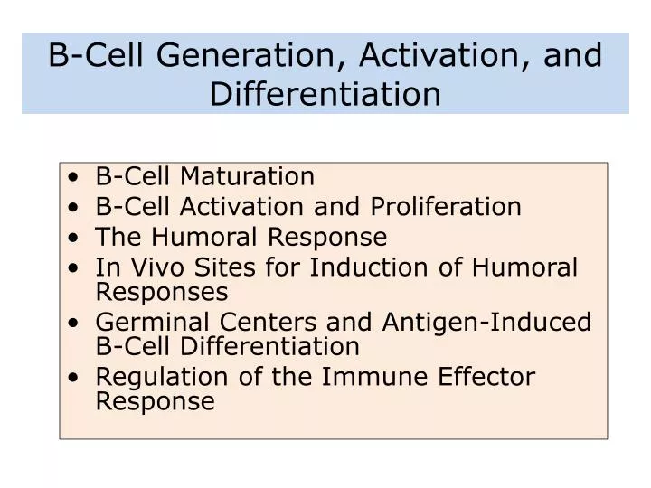 b cell generation activation and differentiation