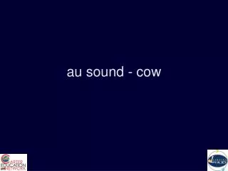 au sound - cow