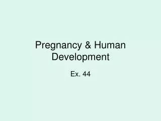 Pregnancy &amp; Human Development