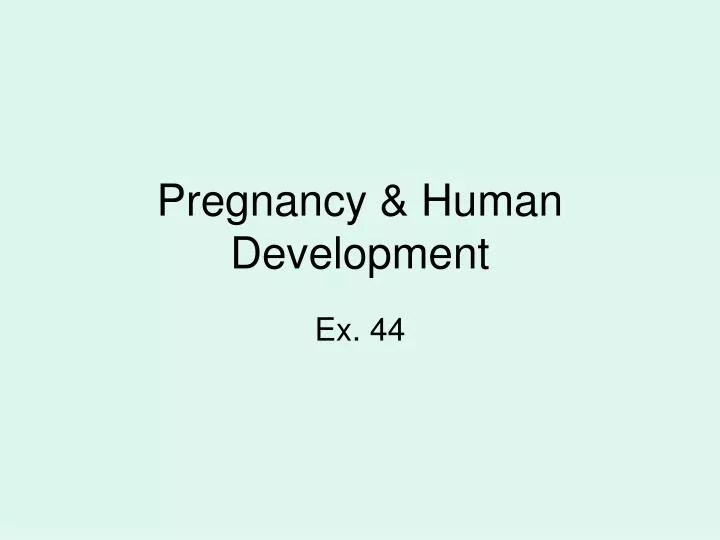 pregnancy human development