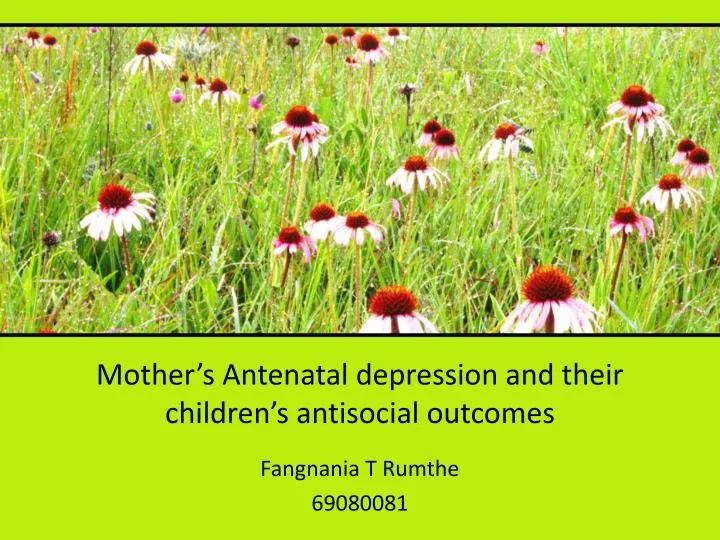 mother s antenatal depression and their children s antisocial outcomes