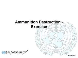 Ammunition Destruction - Exercise