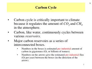 Carbon Cycle