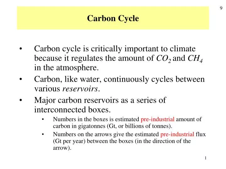 carbon cycle