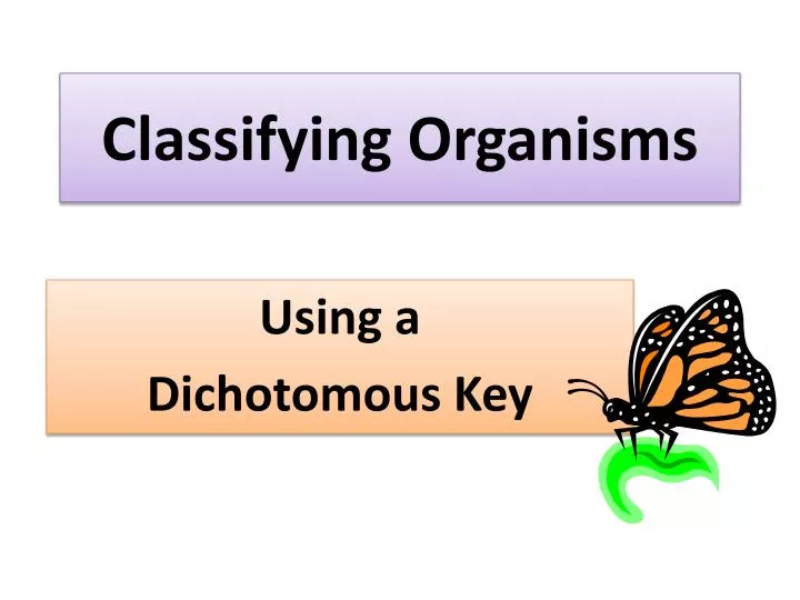 classifying organisms