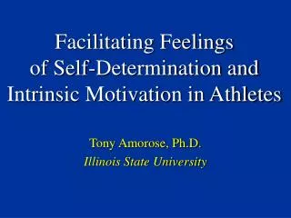 Facilitating Feelings of Self-Determination and Intrinsic Motivation in Athletes