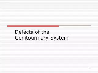 Defects of the Genitourinary System