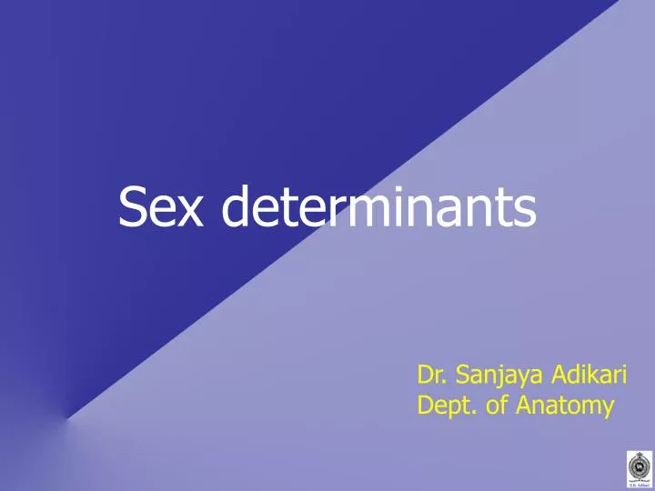 sex determinants