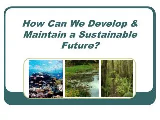 How Can We Develop &amp; Maintain a Sustainable Future?