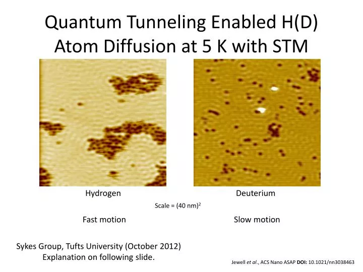 quantum tunneling enabled h d atom diffusion at 5 k with stm