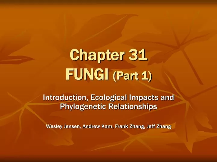 chapter 31 fungi part 1