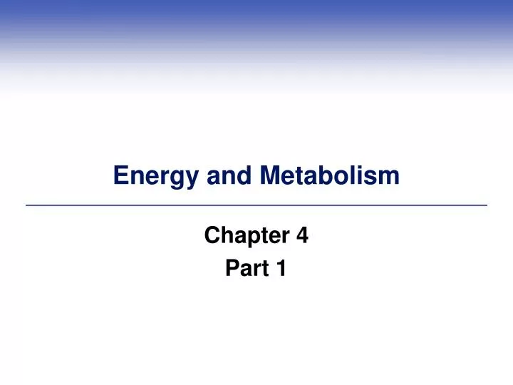 energy and metabolism