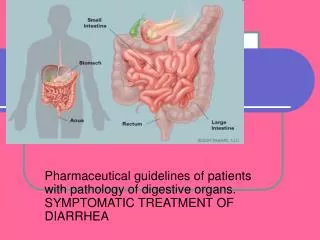 Pharmaceutical guidelines of patients with pathology of digestive organs. SYMPTOMATIC TREATMENT OF DIARRHEA