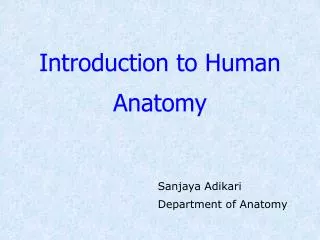 Introduction to Human Anatomy