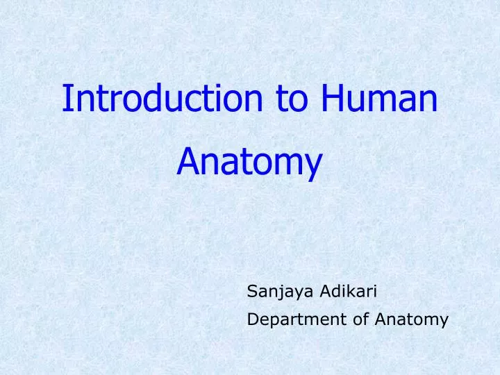 introduction to human anatomy