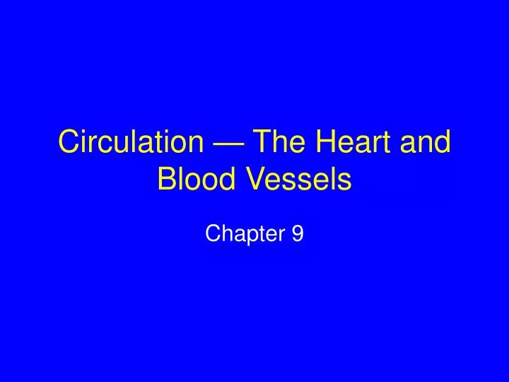 circulation the heart and blood vessels