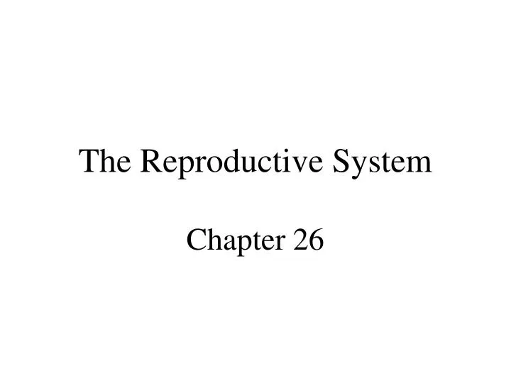 the reproductive system