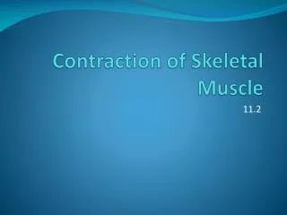 Contraction of Skeletal Muscle