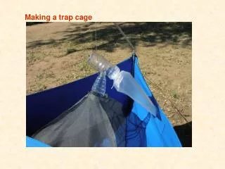Making a trap cage