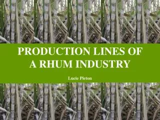 PRODUCTION LINES OF A RHUM INDUSTRY Lucie Pieton