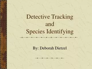 Detective Tracking and Species Identifying