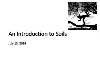 An Introduction to Soils July 13, 2014