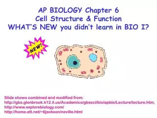 Slide shows combined and modified from: http://gbs.glenbrook.k12.il.us/Academics/gbssci/bio/apbio/Lecture/lecture.htm; h