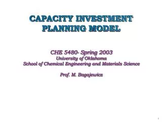 CAPACITY INVESTMENT PLANNING MODEL