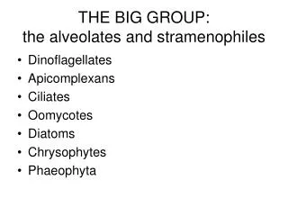 THE BIG GROUP: the alveolates and stramenophiles