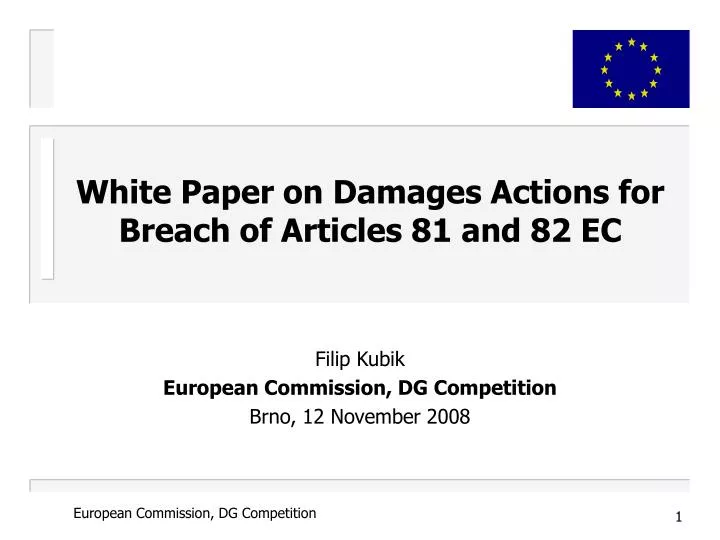 filip kubik european commission dg competition brno 12 november 2008